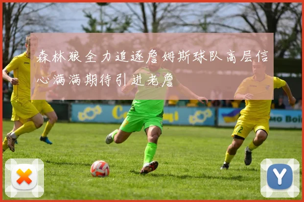 森林狼全力追逐詹姆斯球队高层信心满满期待引进老詹